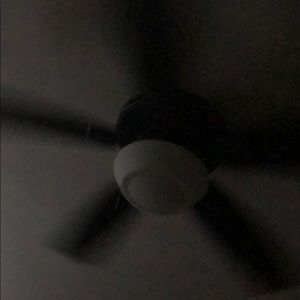 Meet your Posher, Kendall